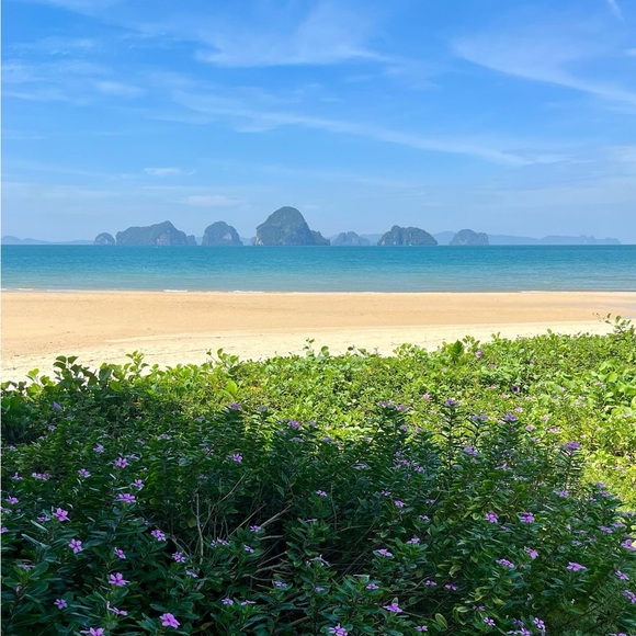 Meet your Posher, Laura - Picture 1 of 1